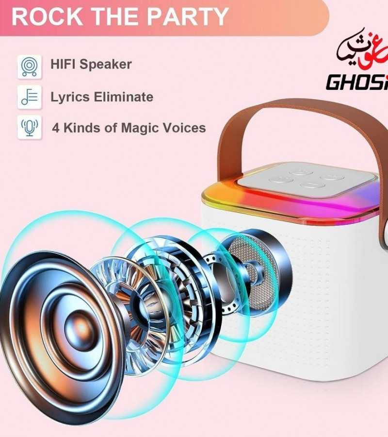 High Quality Karaoke Microphone Speaker Set for singing and Bluetooth speaker-5013